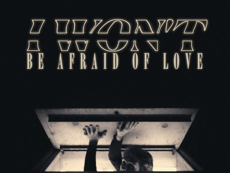 I Won't Be Afraid of Love (Single)