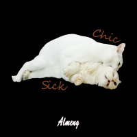 CHIC SICK (Single)