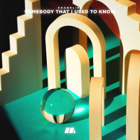 Somebody That I Used To Know (Single)
