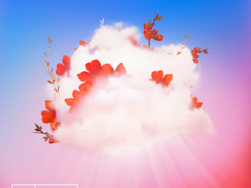 Where Does The Light Go (Single)