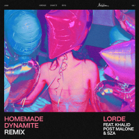 Homemade Dynamite (REMIX) (Single)