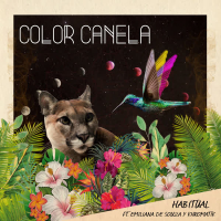 Color Canela (Single)