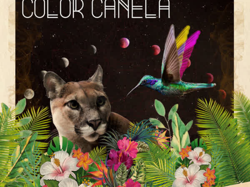 Color Canela (Single)