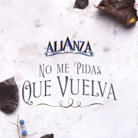 No Me Pidas Que Vuelva (Single)