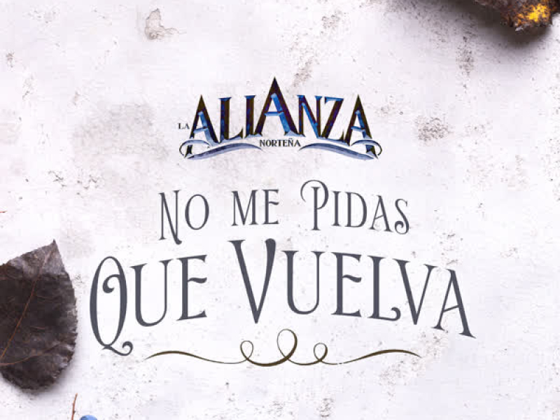 No Me Pidas Que Vuelva (Single)