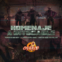 Homenaje a Intocable / Fuerte no soy / Y todo para qué / Estás que te pelas (Single)