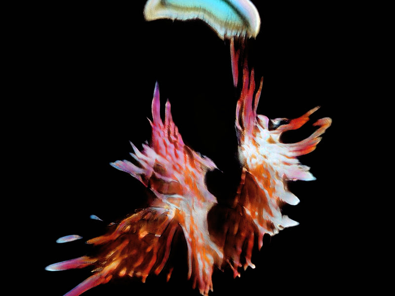 I Found You (Single)