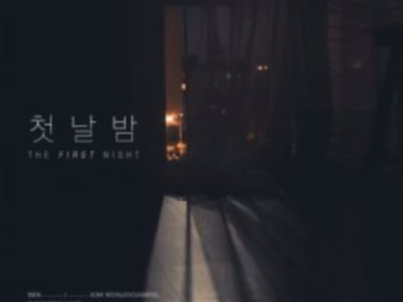 The First Night (Single)