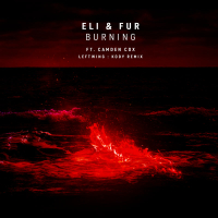 Burning (Leftwing : Kody Remix) (Single)