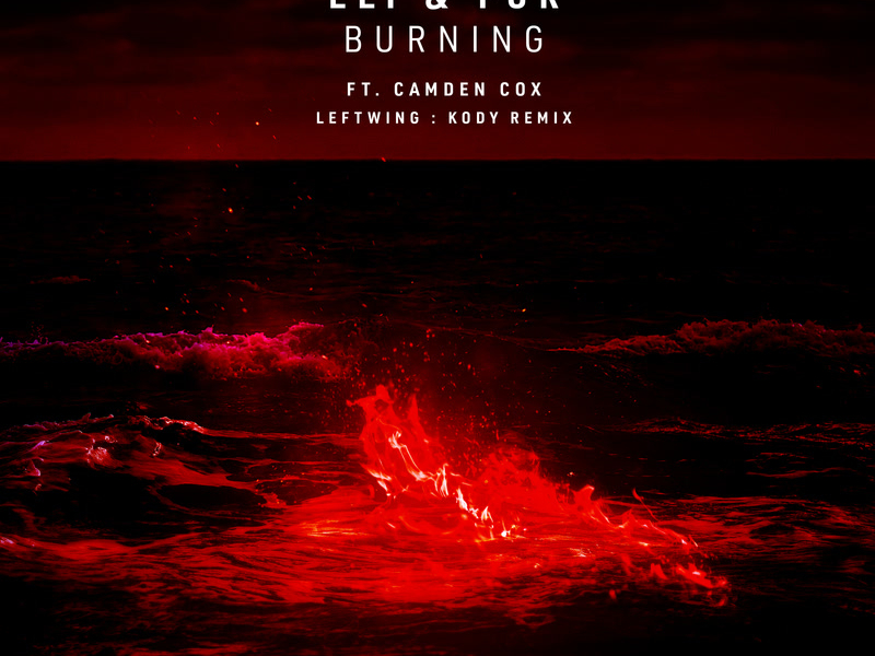 Burning (Leftwing : Kody Remix) (Single)