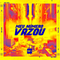 Meu Numero Vazou (Single)