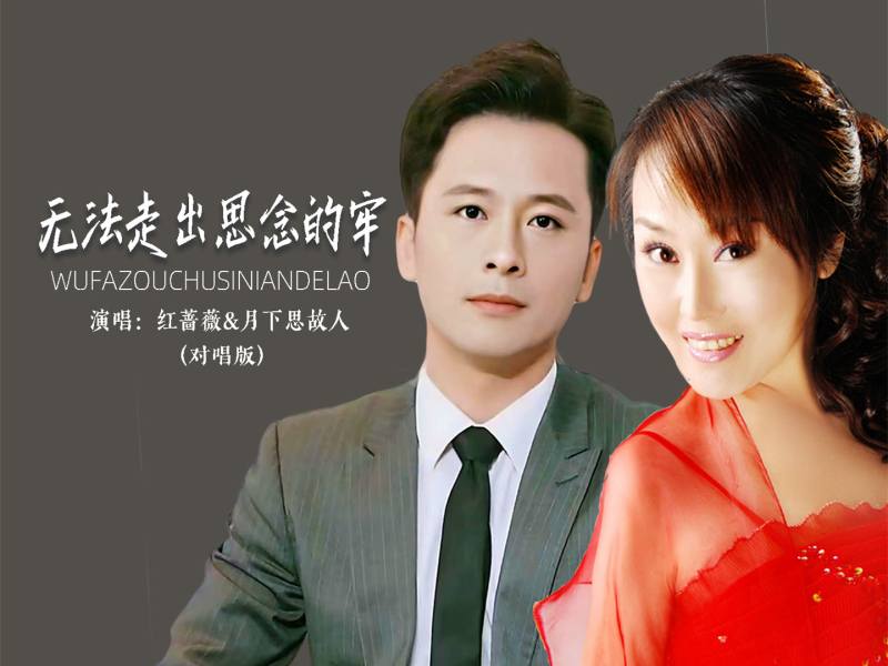 无法走出相思的牢 (对唱版) (Single)