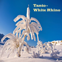 White Rhino (Single)