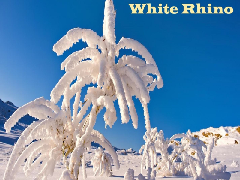 White Rhino (Single)