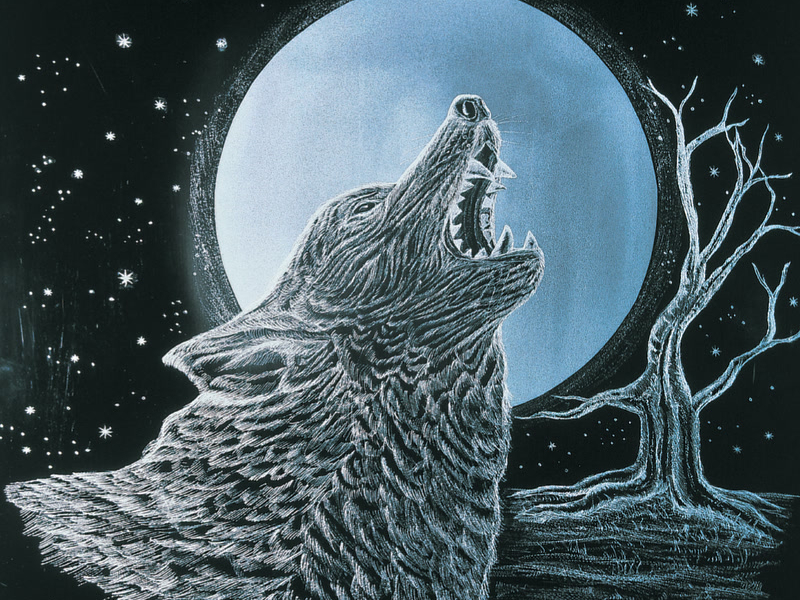 Villa-Lobos: Piano Music – Prole do bebê 1 & 2; Rudepoema