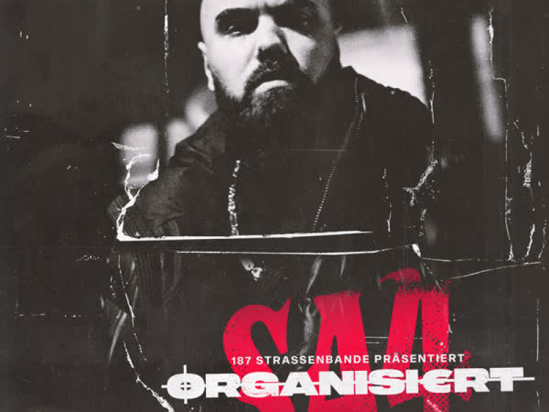 Organisiert (Single)