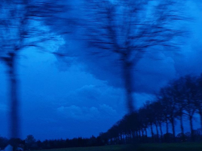 all hope has faded (Single)