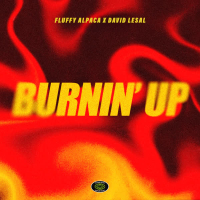 Burnin' Up (Single)