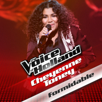 Formidable (From The Voice Of Holland) (Single)