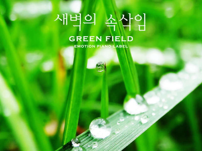 Whisper Of Dawn (Single)