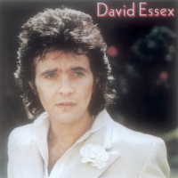 David Essex