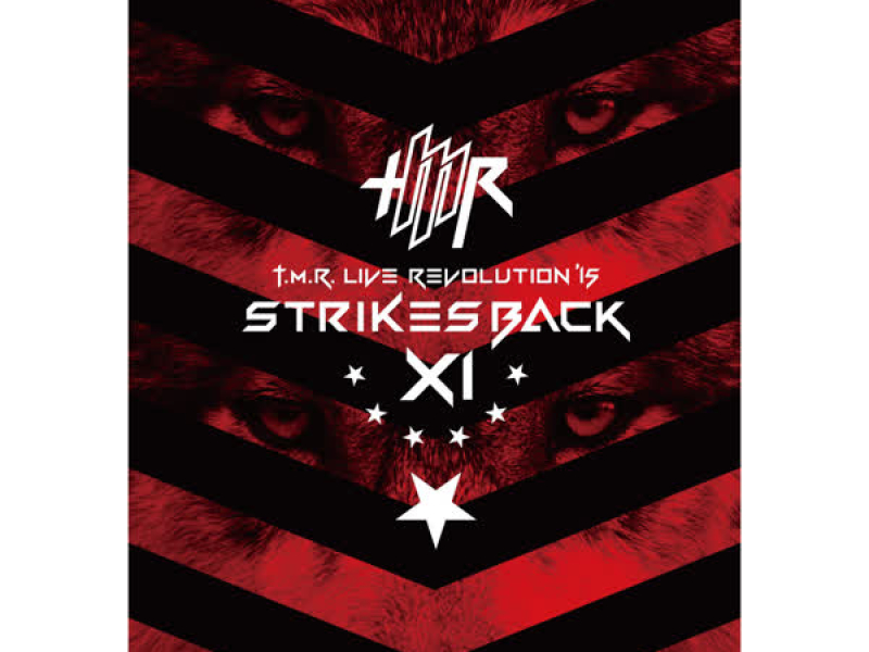 T.M.R. LIVE REVOLUTION 15 Strikes Back 11