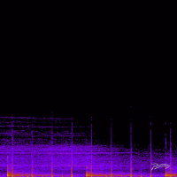 Sensation / Clear (EP)