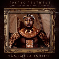 Yamemeza Inkosi (Single)
