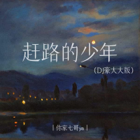 赶路的少年 (DJ豪大大版) (Single)