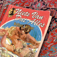 Niets Van Dat Alles (Single)