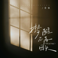 梦醒不再回头 (Dj浩然版) (Single)