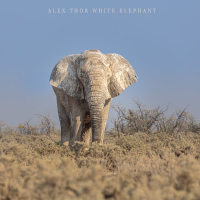 White Elephant (Single)