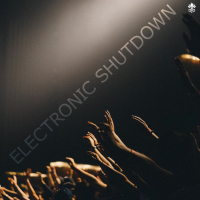 Electronic Shutdown (Single)