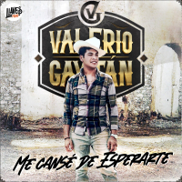 Me Cansé De Esperarte (Single)