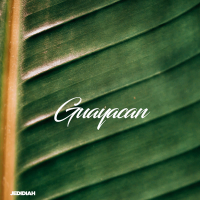 Guayacan (Single)