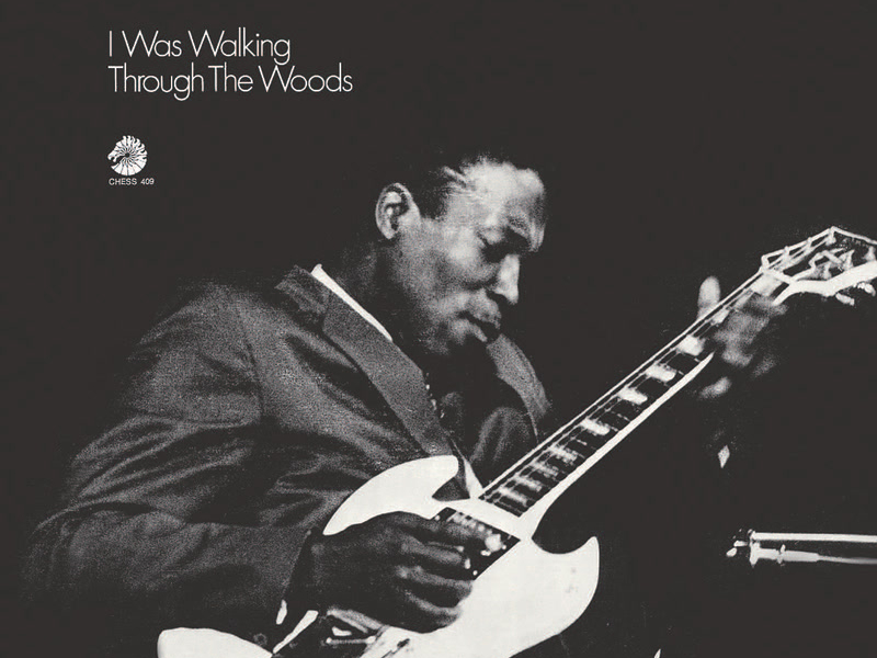 I Was Walking Through The Woods (Expanded Edition)