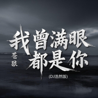我从满眼都是你 (Dj浩然版) (Single)