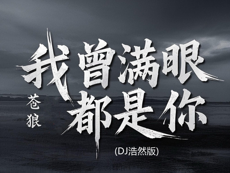 我从满眼都是你 (Dj浩然版) (Single)