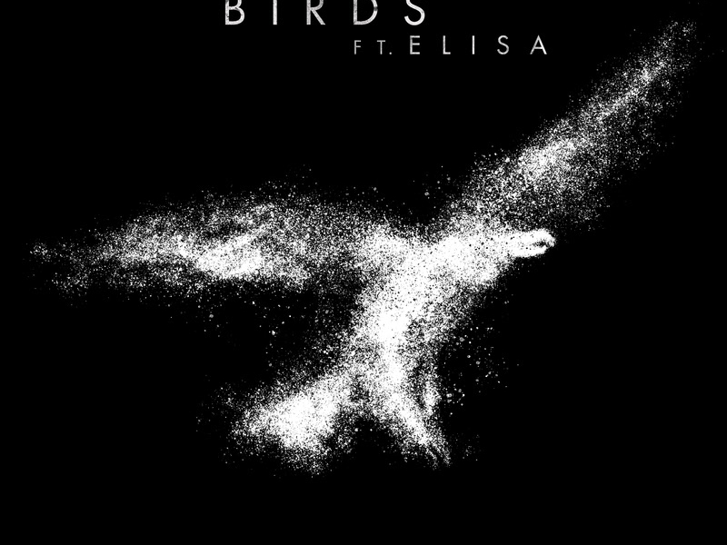 Birds (Single)