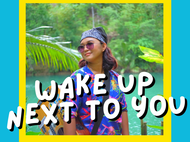 Wake Up Next To You (Single)