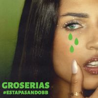 GROSERÍAS (Single)