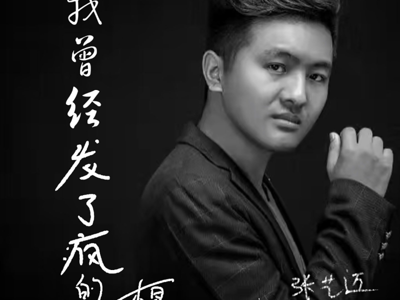 我曾经发了疯的想 (Single)