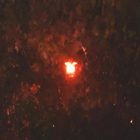 within the lightseam (Single)