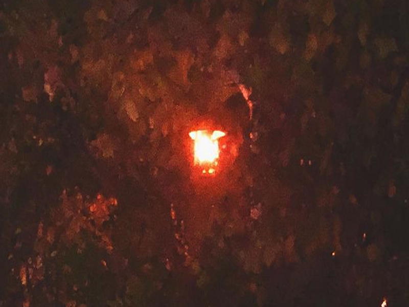 within the lightseam (Single)