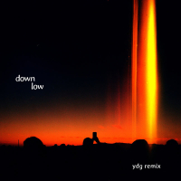 Down Low (YDG Remix) (Single)