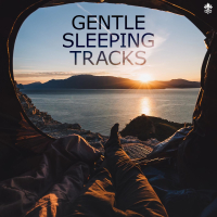 Gentle Sleeping Tracks (Single)