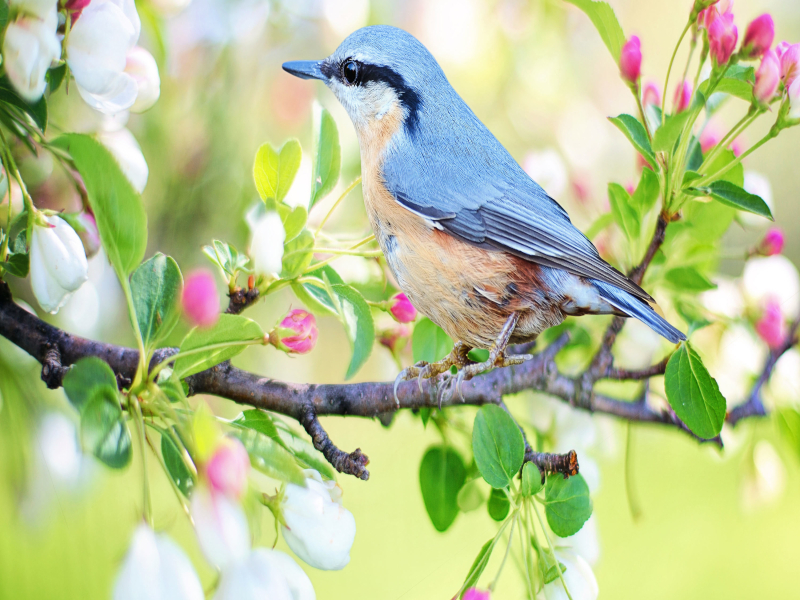 LK Ru Nửa Vầng Trăng, Sa Đéc Tình Tôi (Single)