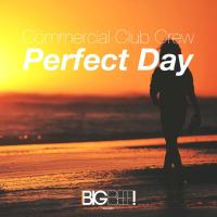 Perfect Day (EP)