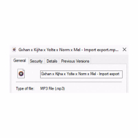 Import Export (Single)