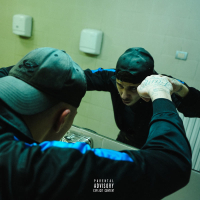 Vibes Negative (Single)